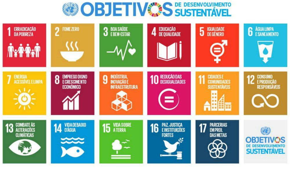 17 exemplos de negócios sociais que atendem os ODS